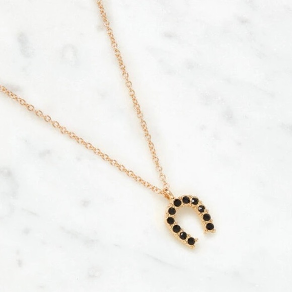 LA Hearts Rhinestone Horseshoe Necklace - Picture 5 of 8